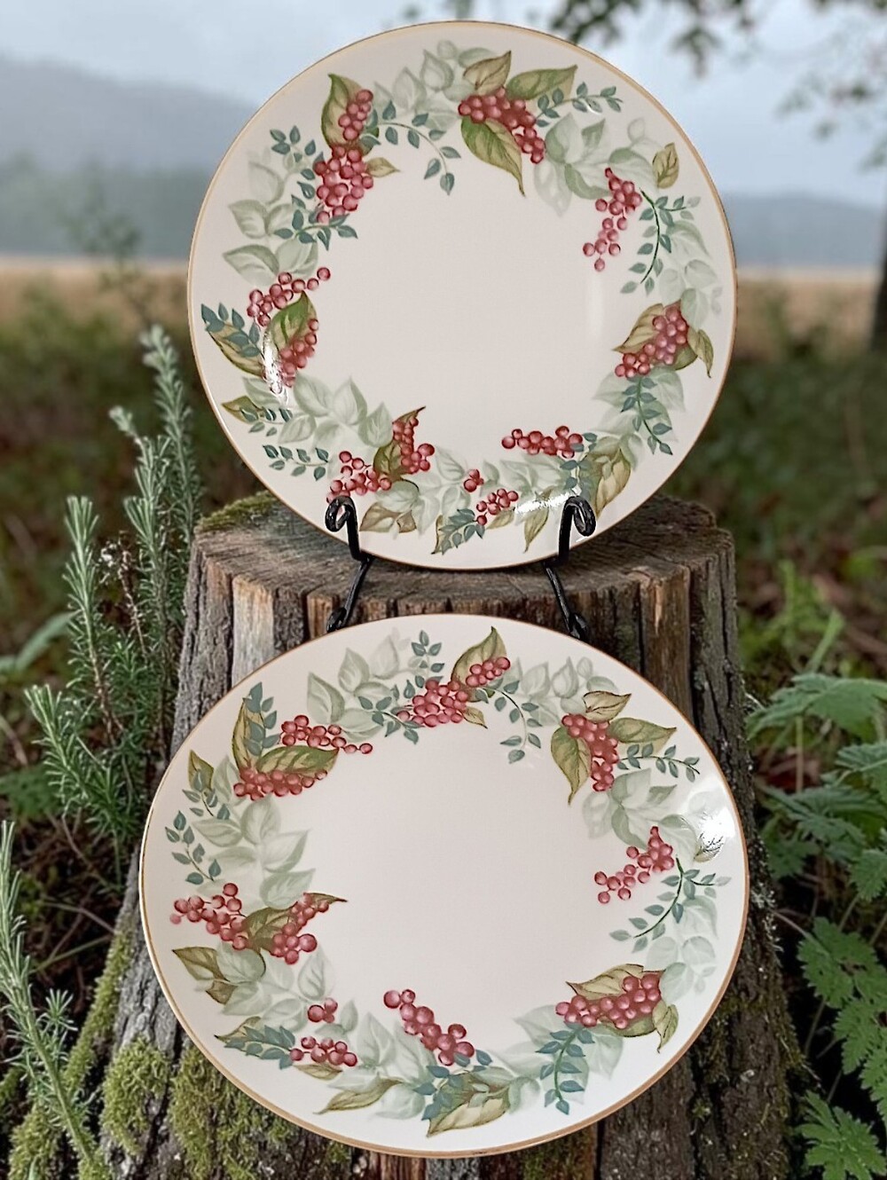 2 Restoration Hardware Festive Berry Plates Salad Side Christmas Botanical RH